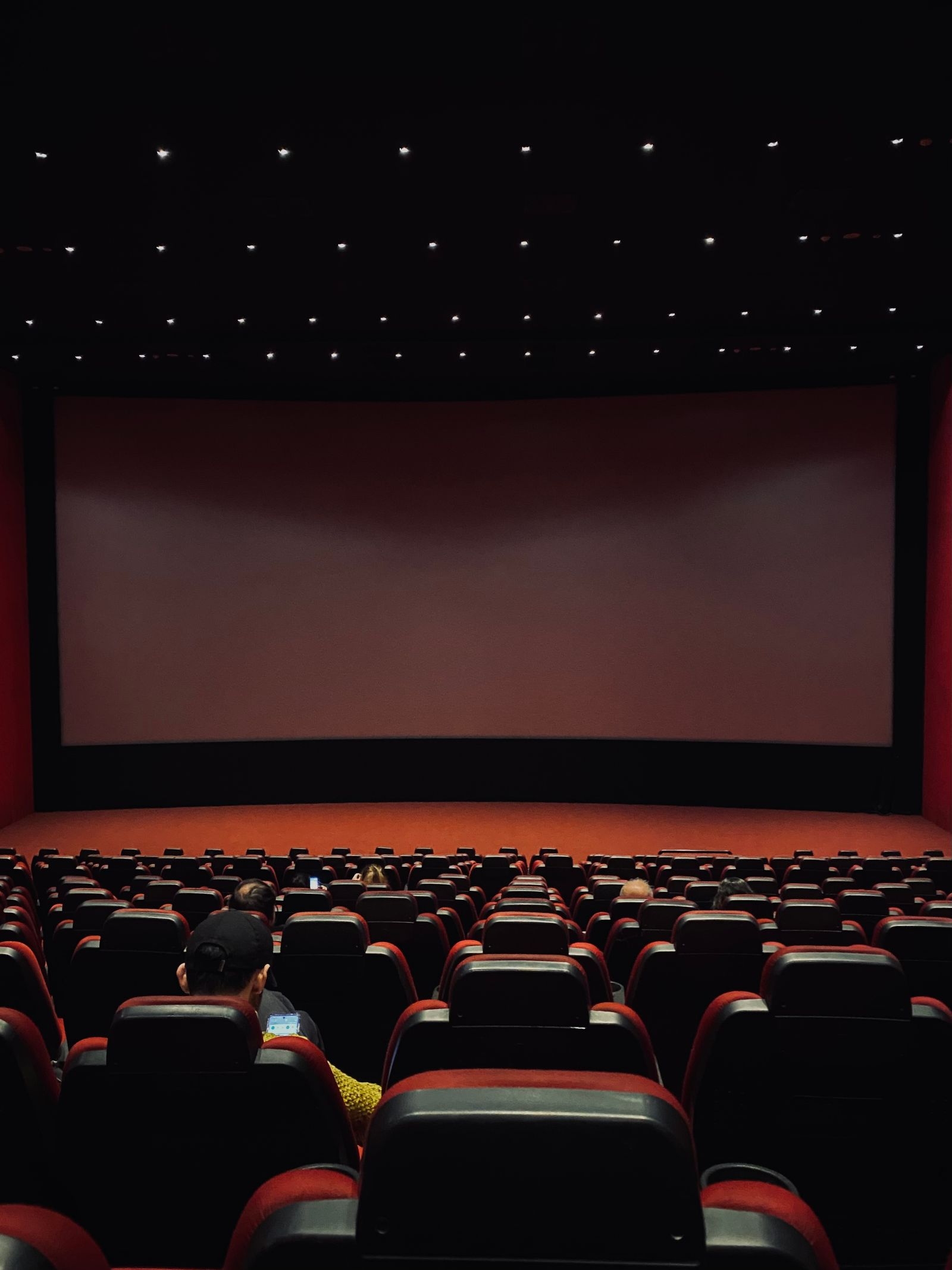 Cinema hall interior — one of the four experiences