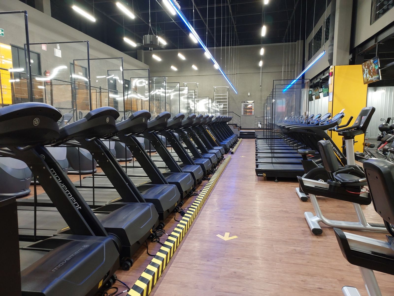 Treadmills on the gym floor
